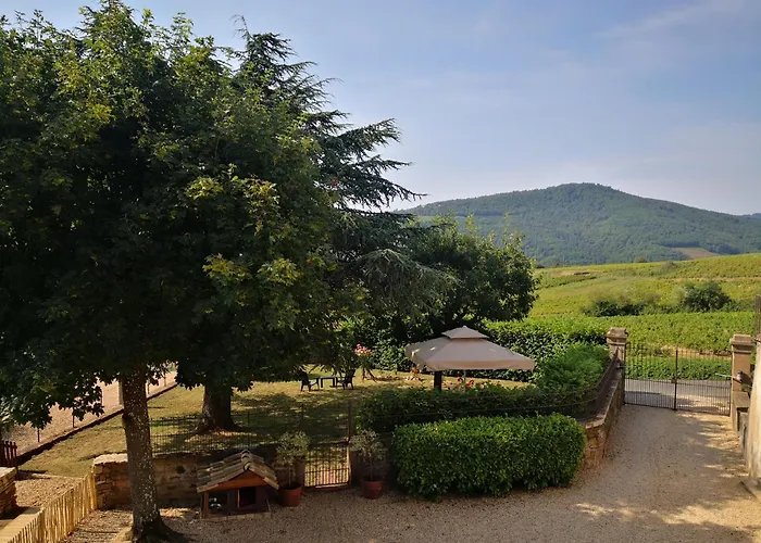 La Maison De Bruno 3* Juliénas